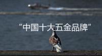　“中国十大五金品牌”雅洁五金SALO经典中式铜锁诠释东方美学