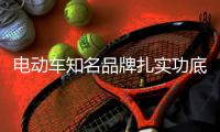 电动车知名品牌扎实功底 提早做好市场布局