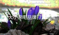 十大小家电品牌打营销策略 重在剖析消费者心理