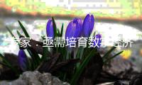 专家：亟需培育数字经济专才