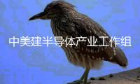 中美建半导体产业工作组 共享信息