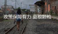政策保障有力 夏粮颗粒归仓