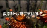 数字时代/电子支付风行内地
：用过谁愿放手