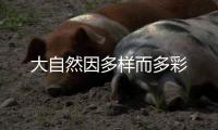 大自然因多样而多彩
