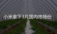 小米拿下3月国内市场份额第一 小幅领先华为