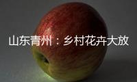 山东青州：乡村花卉大放异彩 以花为“媒”趟出致富路