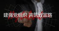 建强党组织 共筑致富路