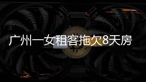 将她的李被行李打包多袋