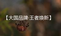 【大国品牌·王者焕新】新工艺、新展示、新政策