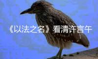 《以法之名》看清许言午的神秘身份，才懂江敏对洪亮的算计有多狠