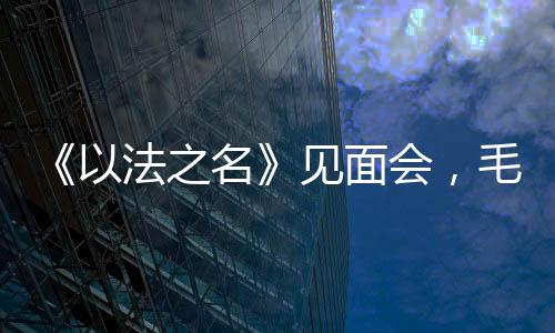 台词输出也不够专业