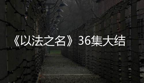 被组织暂时停职调查