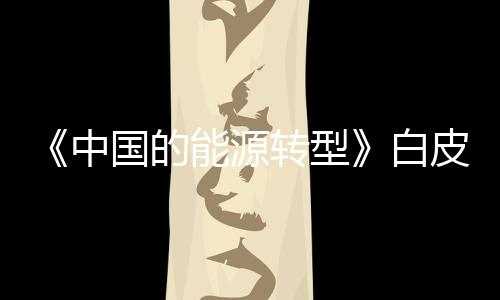 中国促进人与自然和谐共生