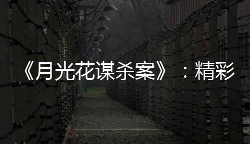 月光也很有趣的花谋是