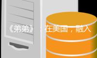 《弟弟》：在美国，融入主流是华裔少年的唯一选择吗�？