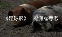 《足球报》：冯潇霆等老将确认无缘国家队名单