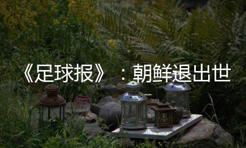 朝鲜退出世预赛40强赛