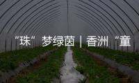 “珠”梦绿茵｜香洲“童超”，有模有样�！首届幼儿足球趣味赛落幕