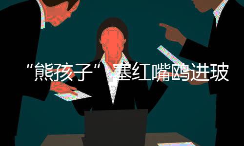 塞红后者放了之后仍跃跃欲试