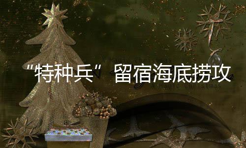 打开支付宝搜索海底捞