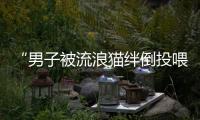 “男子被流浪猫绊倒投喂者赔24万元”案再审宣判：公司承担80%，投喂者20%