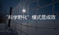 “科学野化”模式显成效！这场生物多样性日论坛在横琴举行