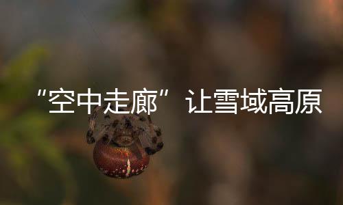 为抢救生命争取了宝贵时间