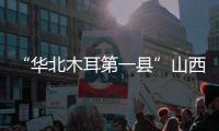 “华北木耳第一县”山西中阳：黑木耳成“富民恒业”