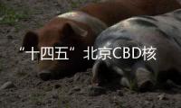 “十四五”北京CBD核心区将基本建成