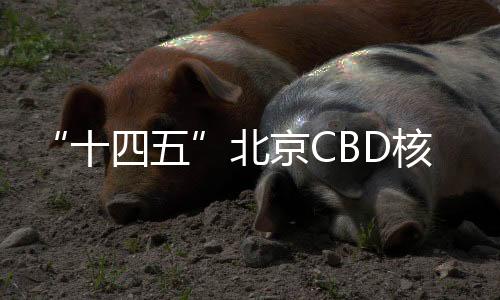 加快商业空间品质提升