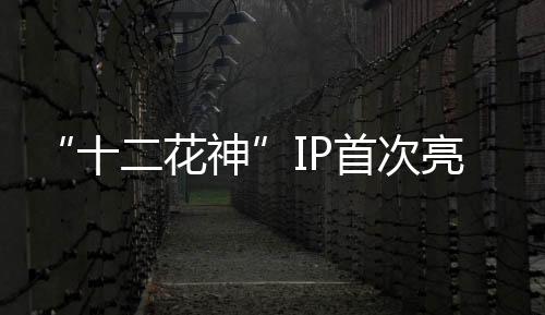 政策落地等议题深入交流