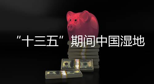 中国公安部门开展联合执法