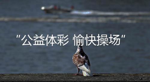 体彩公益金的体彩支持