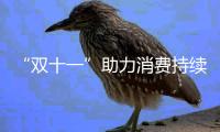 “双十一”助力消费持续恢复
