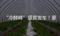 “冷鲜峰”盛夏发车！豪沃重卡夏日冷链盛宴燃爆郑州