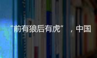 “前有狼后有虎”，中国第三大动力电池生产商赴港上市