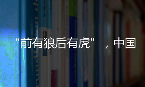 狼后募资净额约98.64亿港元