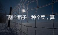“割个稻子	、种个菜，算劳动教育吗？”
：下乡一周33年