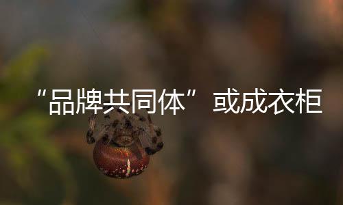 这种角色定位变得越来越朦胧