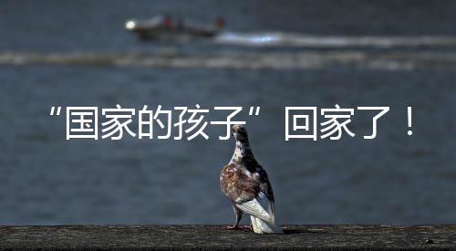 愿所有的场半亲人都团聚