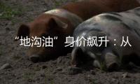 “地沟油”身价飙升：从餐厨废油到“减碳明星”