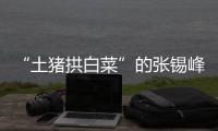 “土猪拱白菜”的张锡峰	：浙大毕业却两手空空	，被南科大老师调侃