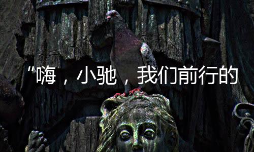 在语音AI赛道奋斗多年