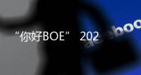 “你好BOE” 2025首站！超酷现场等你来看