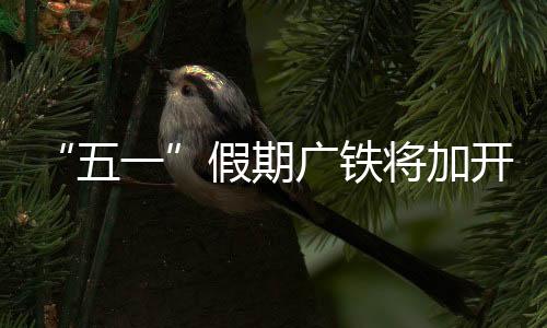 为满足跨境旅客出行