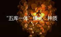 “五库一体”模式：种质资源保存的创新之举