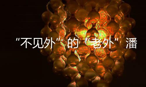 宁夏
、不见外走上小康路