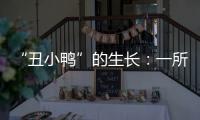 “丑小鸭”的生长：一所学校防治青少年抑郁的探索与思考
