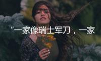 “一家像瑞士军刀，一家像手术刀”：中国版英伟达抢滩科创板