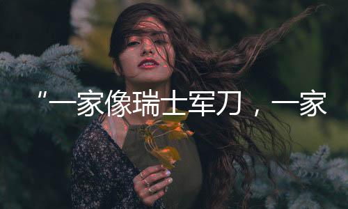 滩科是创板营收的2.8倍